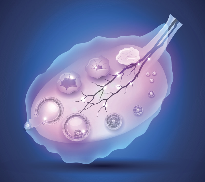 哈萨克斯坦做试管婴儿流程?详细步骤是哪些?